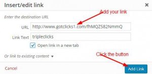add your affiliate link to your website